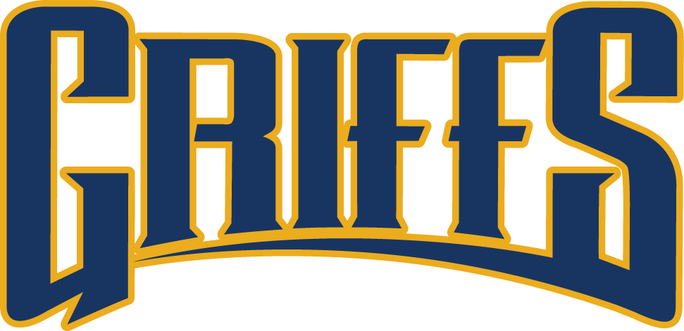 Canisius Golden Griffins 2006-Pres Wordmark Logo v2 iron on transfers for fabric